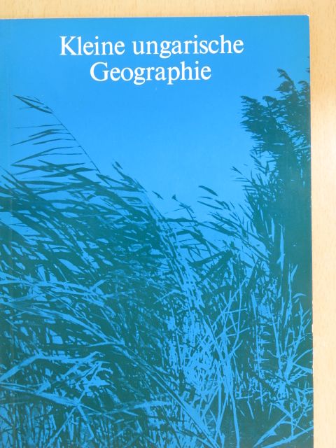 Antalffy Gyula - Kleine ungarische Geographie [antikvár]