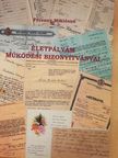 Ferencz Miklósné - Életpályám működési bizonyítványai [antikvár]