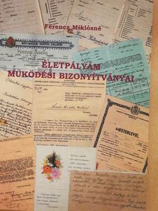 Ferencz Miklósné - Életpályám működési bizonyítványai [antikvár]