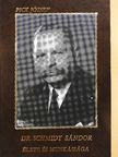 Pick József - Dr. Schmidt Sándor élete és munkássága [antikvár]