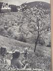 Birkás Endre - Élet 1941. április 27. [antikvár]