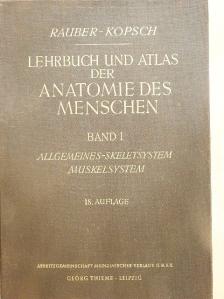 Dr. Fr. Kopsch - Lehrbuch und Atlas der Anatomie des Menschen I. [antikvár]