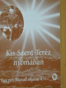 Kis Szent Teréz nyomában [antikvár]