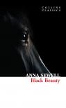 SEWELL, ANNA - Black Beauty (Collins Classics)