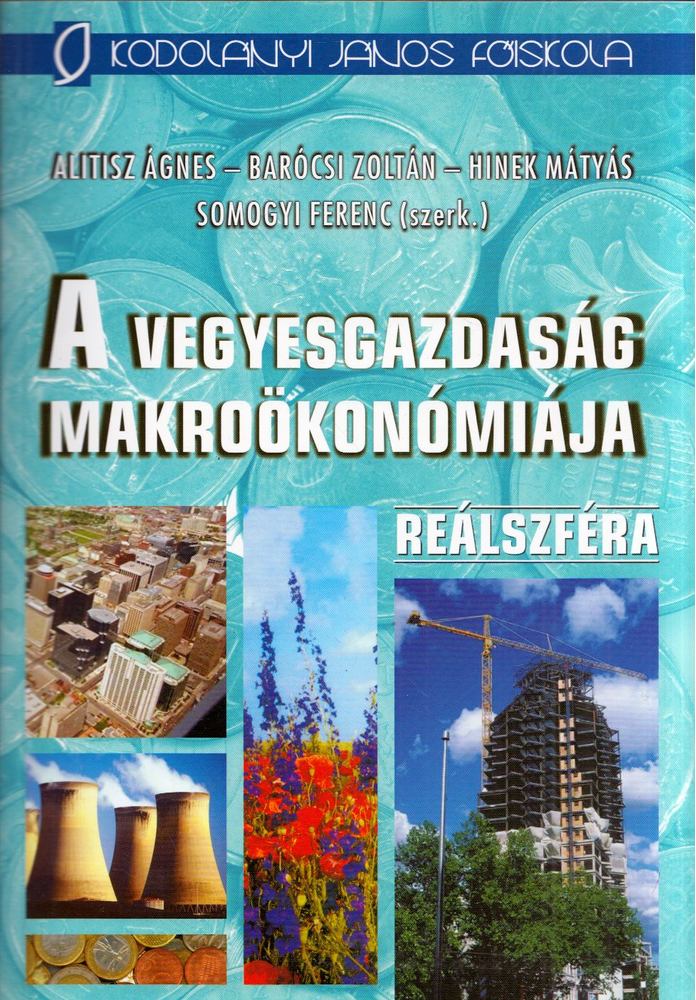 Alitisz Ágnes, Barócsi Zoltán, Hinek Mátyás, Somogyi Ferenc - A vegyesgazdaság makroökonómiája - Reálszféra [antikvár]