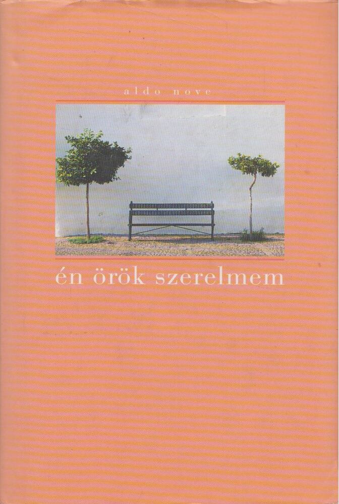 Aldo Nove - Én örök szerelmem [antikvár]