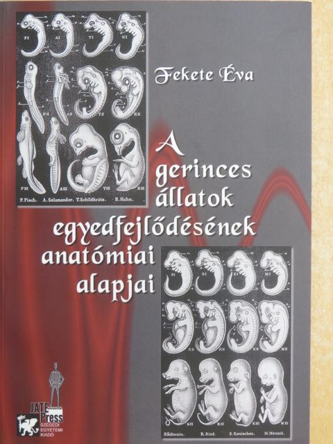 Fekete Éva - A gerinces állatok egyedfejlődésének anatómiai alapjai [antikvár]