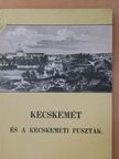 Kubinyi Ferenc - Kecskemét és a kecskeméti puszták [antikvár]