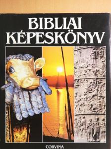 Alan Millard - Bibliai képeskönyv [antikvár]