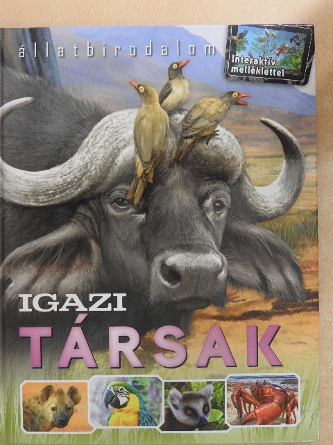 Bagoly Ilona - Igazi társak [antikvár]
