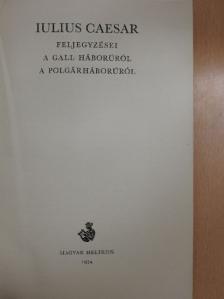 Boronkai Iván - Iulius Caesar feljegyzései a gall háborúról, a polgárháborúról [antikvár]