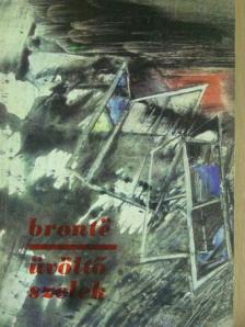 Emily Brontë - Üvöltő szelek [antikvár]