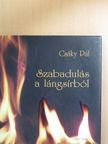 Csáky Pál - Szabadulás a lángsírból [antikvár]