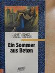 Harald Braem - Ein Sommer aus Beton [antikvár]