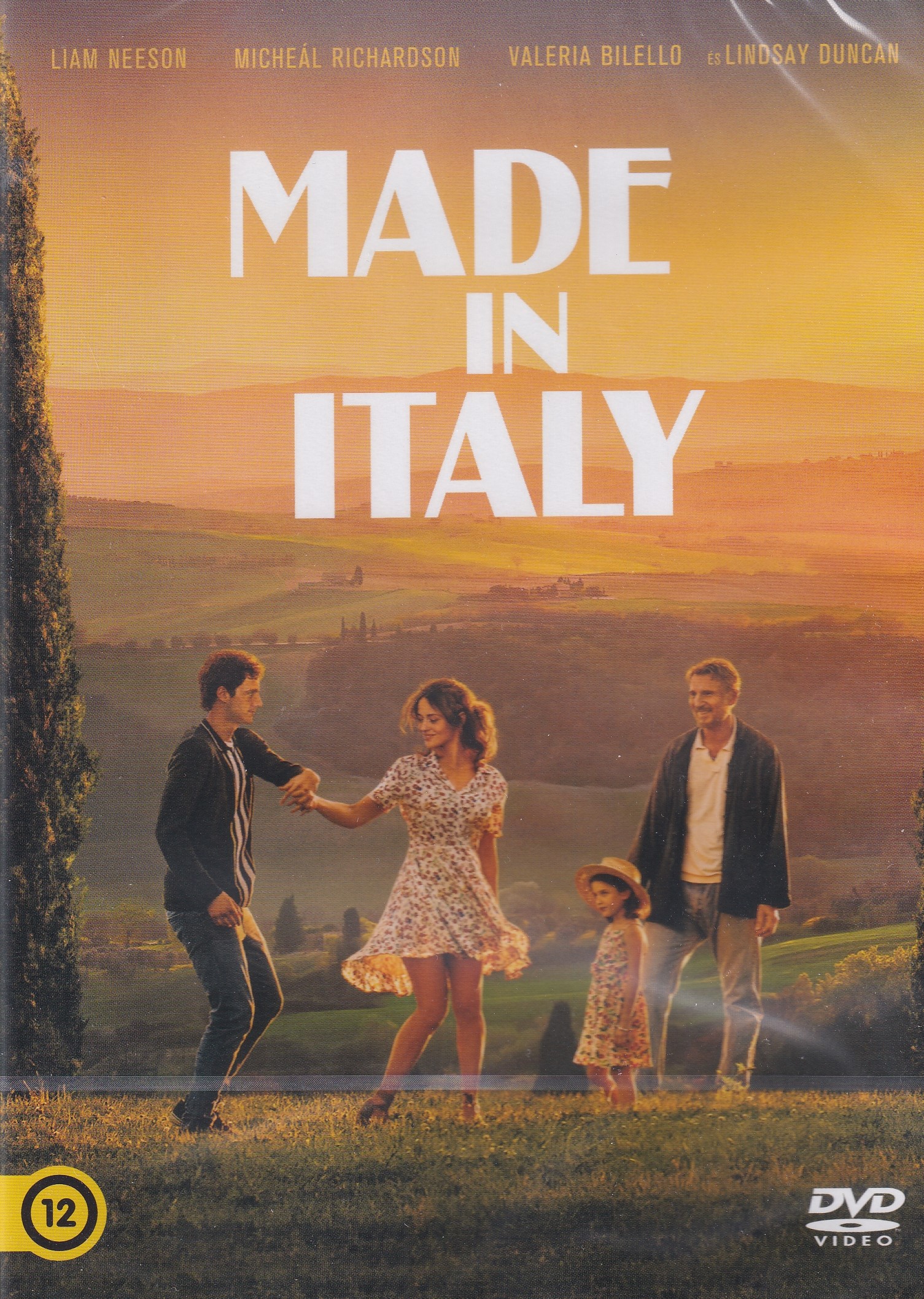 Made in Italy - DVD