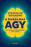 Stanislas Dehaene - A rugalmas agy - Miért tanulunk hatékonyabban, mint a gépek?