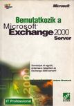 Woodcock, JoAnne - Bemutatkozik a Microsoft Exchange 2000 Server [antikvár]