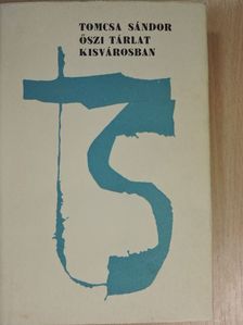 Tomcsa Sándor - Őszi tárlat kisvárosban II. (töredék) [antikvár]