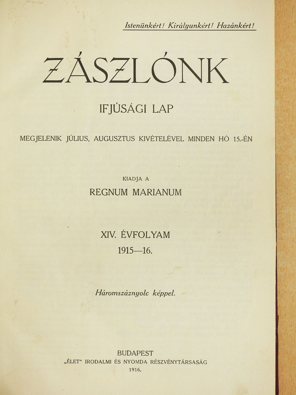 Ackermann Kálmán - Zászlónk 1915. szeptember-1916. június [antikvár]