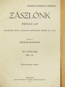 Ackermann Kálmán - Zászlónk 1915. szeptember-1916. június [antikvár]