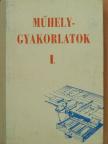 Cser D. Sándor - Műhelygyakorlatok I. [antikvár]