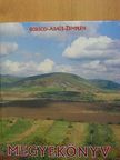 Borsod-Abaúj-Zemplén Megyekönyv [antikvár]