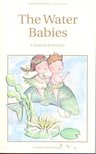 Kingsley, Charles - The Water-Babies [antikvár]
