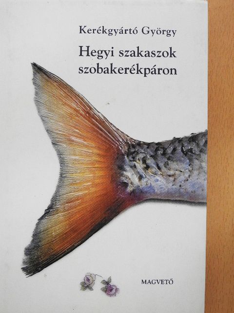 Kerékgyártó György - Hegyi szakaszok szobakerékpáron [antikvár]