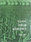 Dr. Dankó Imre - Hajdú-Bihar képekben [antikvár]