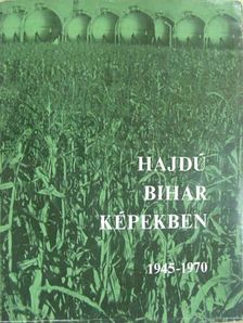 Dr. Dankó Imre - Hajdú-Bihar képekben [antikvár]