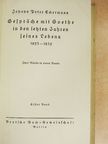 Johann Peter Eckermann - Gespräche mit Goethe in den letzten Jahren seines Lebens I-II. (gótbetűs) [antikvár]