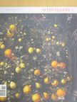 Birkás Ákos - Artmagazin 2013/10. [antikvár]
