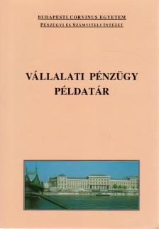 Vállalati pénzügy példatár [antikvár]