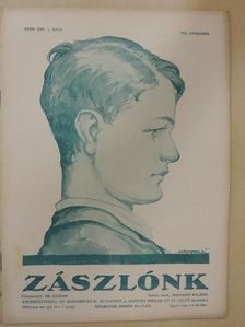 Zászlónk 1928. november [antikvár]
