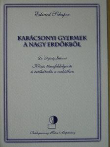Dr. Fejérdy Gáborné - Karácsonyi gyermek a nagy erdőkből [antikvár]