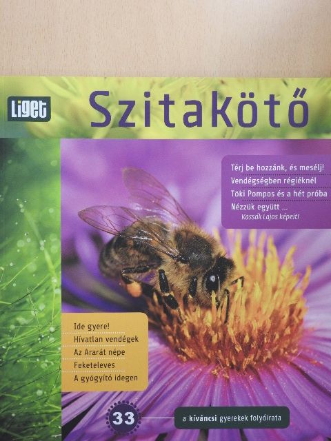Bakos Tibor - Szitakötő 33. [antikvár]