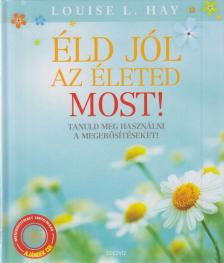 LOUISE L. HAY - Éld jól az életed most! [antikvár]
