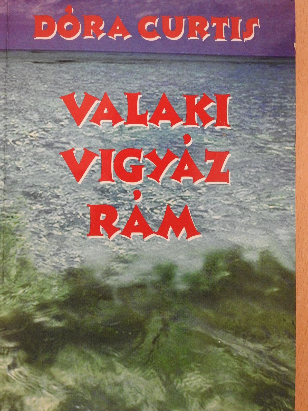 Curtis Dóra - Valaki vigyáz rám (dedikált példány) [antikvár]