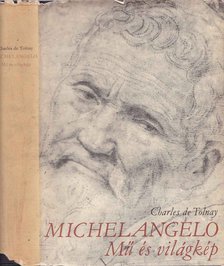 Tolnay, Charles de - Michelangelo - Mű és világkép [antikvár]