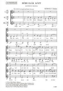 Kodály Zoltán - HÓBUCKÁK KÖZT - EGYNEMŰKARRA