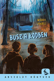 Wéber Anikó - Busz a ködben [szépséghibás]