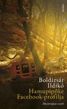 Boldizsár Ildikó - Hamupipőke Facebook-profilja - Meseterápiás esetek [eKönyv: epub, mobi]