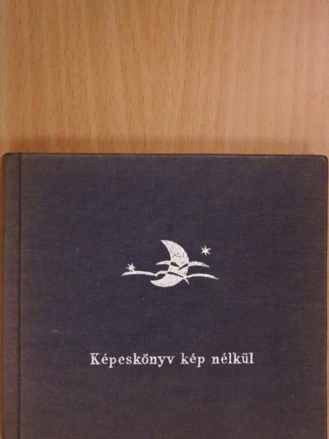 H. C. Andersen - Képeskönyv kép nélkül [antikvár]