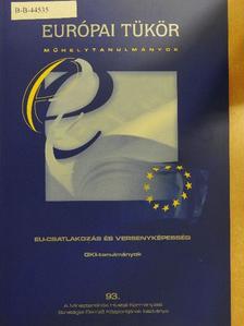 Karsai Judit - EU-csatlakozás és versenyképesség - GKI-tanulmányok [antikvár]