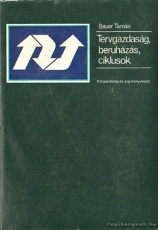 Bauer Tamás - Tervgazdaság, beruházás, ciklusok - Jegyzetek [antikvár]