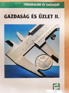 Merényi Zsuzsanna - Gazdaság és üzlet II. [antikvár]