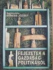 Antal László - Fejezetek a gazdaságpolitikából [antikvár]