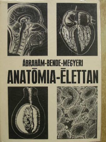 Dr. Ábrahám Ambrus - Anatómia-élettan [antikvár]