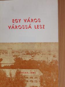 Bálint Lajos - Egy város várossá lesz [antikvár]