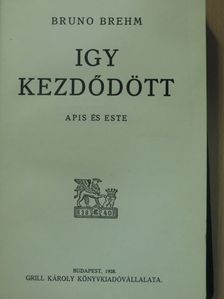 Bruno Brehm - Igy kezdődött [antikvár]